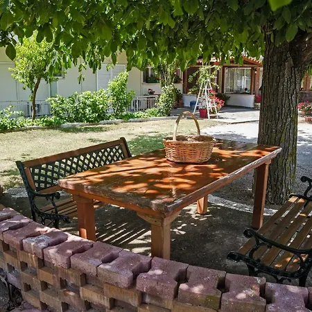 Hotel Plotini