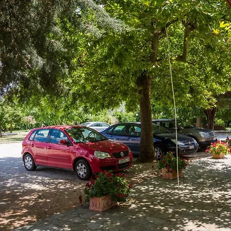 Hotel Plotini 2*
